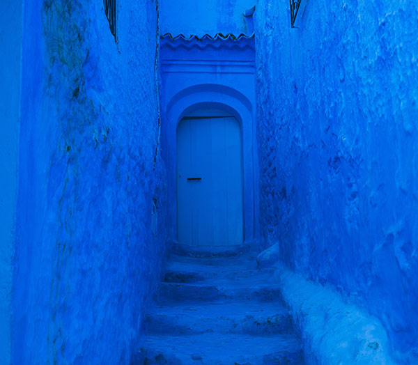 federico gutierrez saDawmbrs unsplash